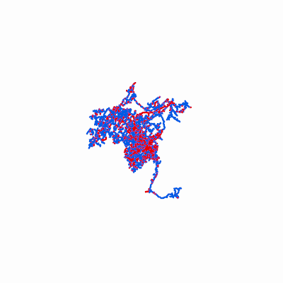 Export Image